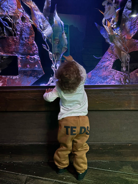 Toddler fleece tracksuit set