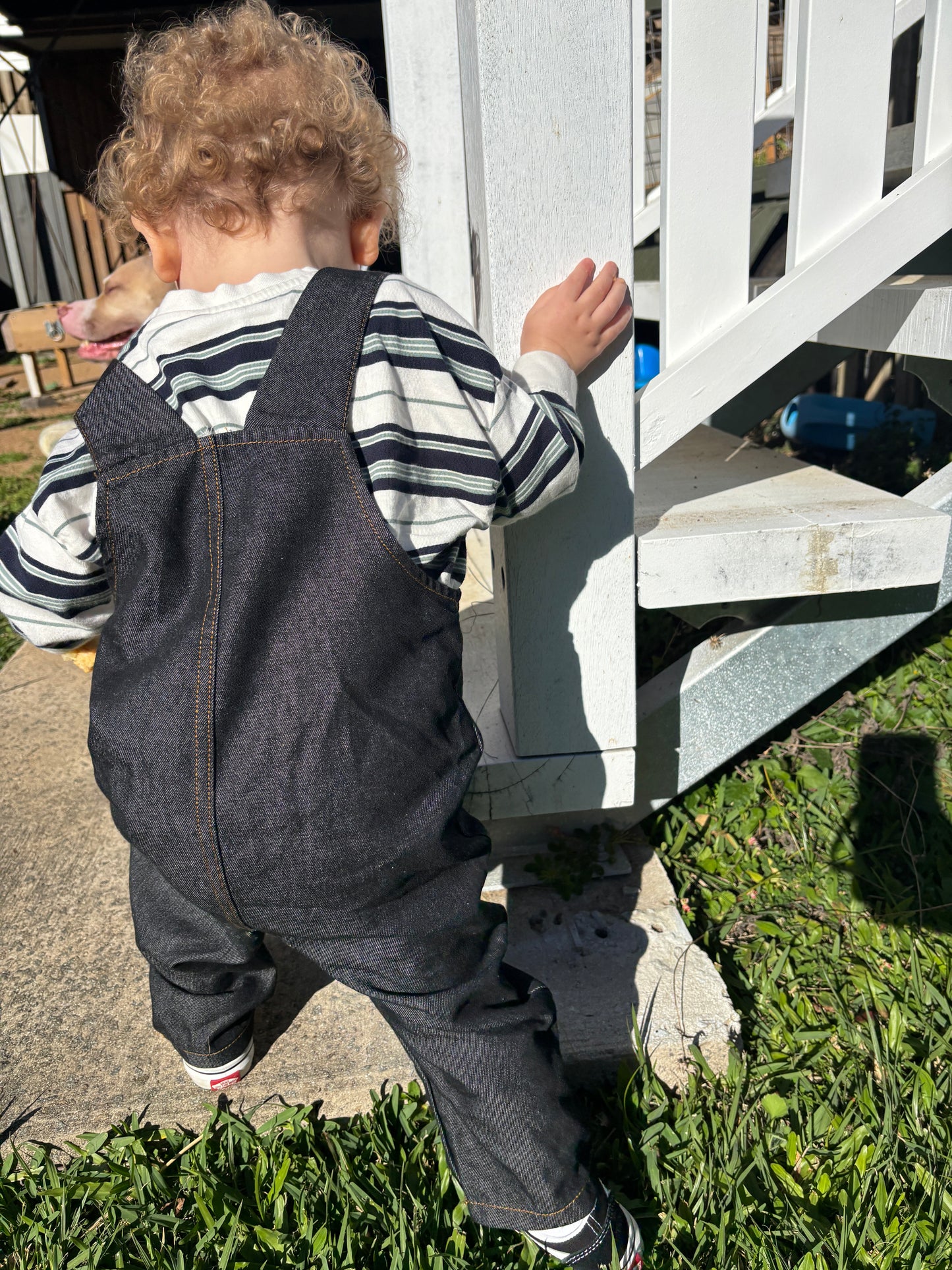 Bodhi Denim Dungarees - Black