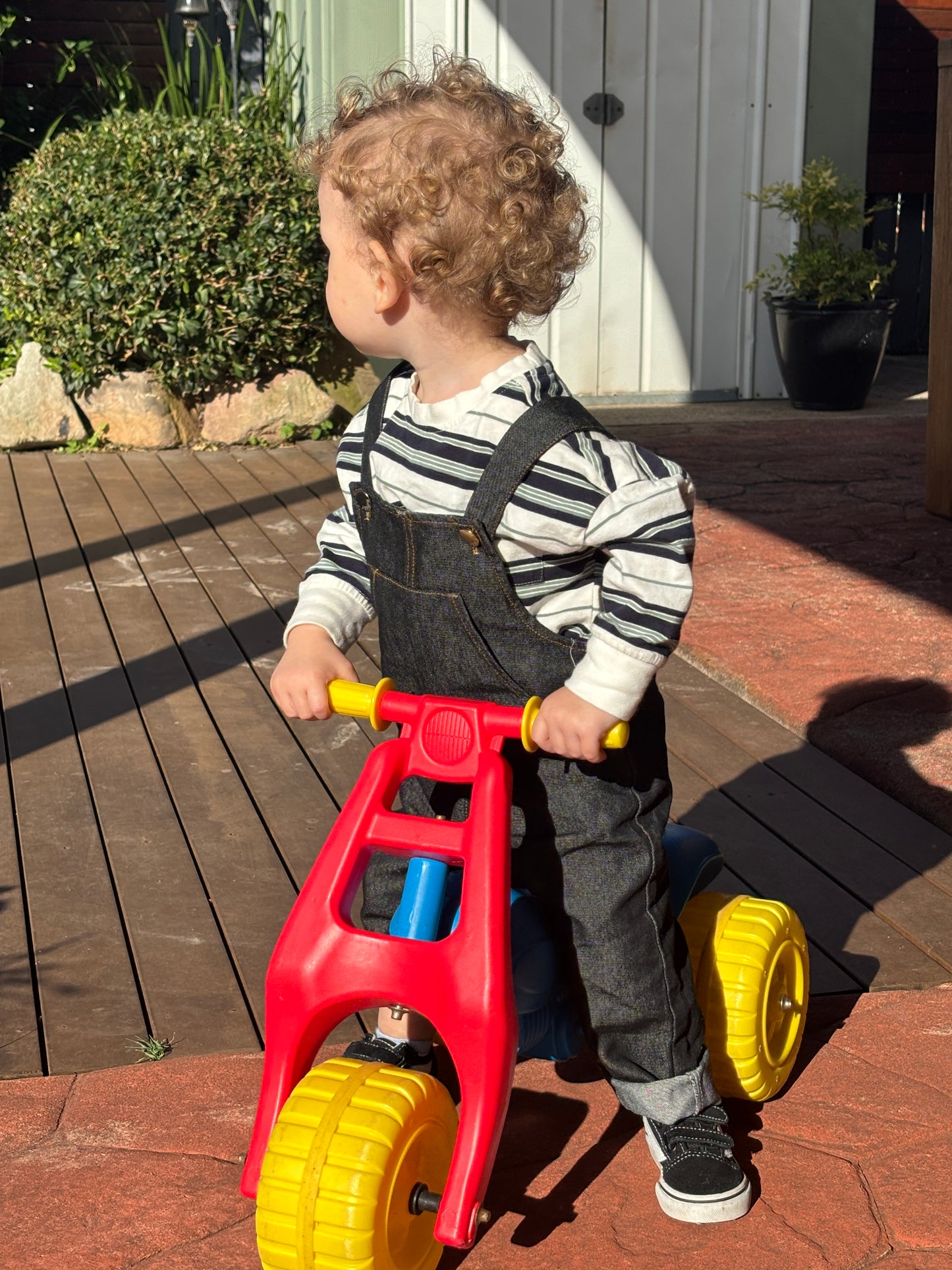Bodhi Denim Dungarees - Black